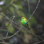 cytat na dziś - "Nie chciej spełniać swojej woli, choćbyś czuł zgorzknienie, ponieważ spełniając ją znajdziesz podwójną gorycz". św. Jan od Krzyża "Słowa światła i miłości" 17