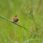 cytat na dziś - "Ten tylko prawdziwie przezwyciężył wszystkie rzeczy, komu nie sprawia radości ani ich przyjemność, ani ich ciężar nie powoduje smutku". św. Jan od Krzyża "Słowa światła i miłości" 50