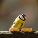 cytat na dziś - "Uważaj, abyś się nie mieszał do obcych spraw i niech ci to nawet nie przychodzi na myśl, gdyż może się zdarzyć, że nie będziesz mógł wywiązać się z własnych powinności". św. Jan od Krzyża "Słowa światła i miłości" 60