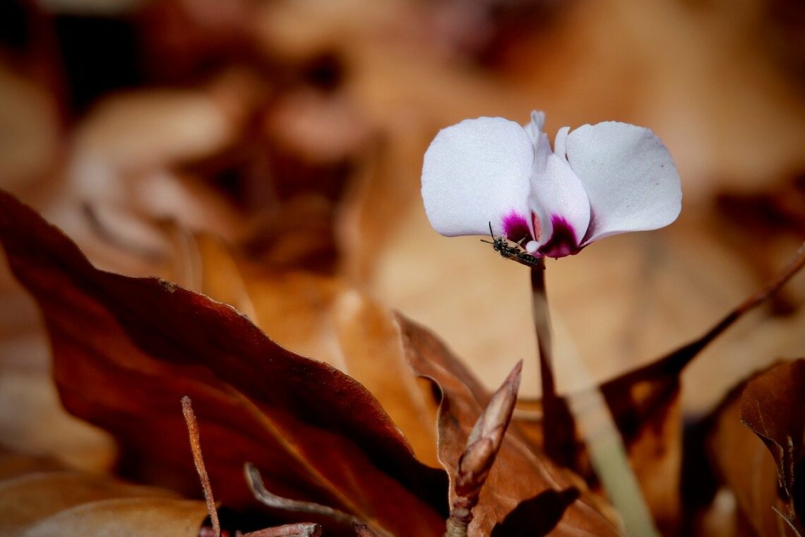 Pragnij gorąco, aby Bóg uzupełnił…