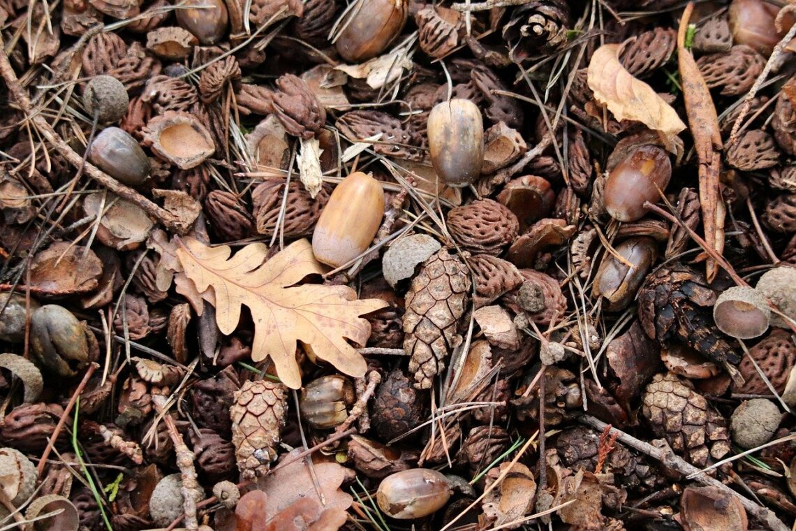 Nie ciesz się szczęściem doczesnym