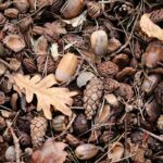 cytat na dziś - "Nie ciesz się szczęściem doczesnym, bo nie wiesz na pewno, czy zapewni ci ono życie wieczne". św. Jan od Krzyża "Słowa światła i miłości" 64