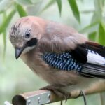 cytat na dziś - "Cóż ci pomoże, że dajesz Bogu tę rzecz, gdy On żąda od ciebie innej? Poznaj, czego Bóg żąda od ciebie i spełnij to, a przez to lepiej zadowolisz swoje serce, niż czyniąc co sam pragniesz". św. Jan od Krzyża "Słowa światła i miłości" 72