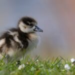 cytat na dziś - "Najważniejsze jest zwycięstwo nad małym, czymś niesłychanie małym - nad sobą". bł. S. Wyszyński