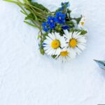 cytat na dziś - "Najlepiej człowiek prosi, gdy dziękuje". bł. S. Wyszyński