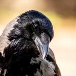 cytat na dziś - "Nie narzekaj na nikogo, nie pytaj o niepotrzebne rzeczy, a w razie potrzeby uczyń to w krótkich słowach". św. Jan od Krzyża "Słowa światła i miłości" 147