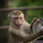 cytat na dziś - "Rób rachunek sumienia z «dziką» szczerością, czyli z odwagą: taką samą, z jaką patrzysz w lustro, żeby sprawdzić, gdzie się skaleczyłeś czy ubrudziłeś albo gdzie są twoje braki, które musisz usunąć". św. J. Escriva "Bruzda" 148