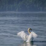 cytat na dziś - "Czasami zastanawiam się nad tym, jak to się dzieje, że to, czego Nasz Pan chce - nawet jeśli my nie chcemy - staje się, a my - nawet nie zamierzając tego - jesteśmy Jego narzędziem [...]". św. Teresa od Jezusa "Księga fundacji" 22.3