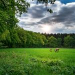 cytat na dziś - "Zmień radykalnie swoje nastawienie, choćby oznaczało to więcej wysiłku i mniej rozrywek w zasięgu ręki. Najwyższy czas, abyś zachowywał się jak osoba odpowiedzialna". św. J. Escriva "Bruzda" 138