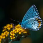 cytat na dziś - "Czy dla mnie cokolwiek jest trudne? Lub czy będę podobny temu, co mówi, a nie czyni? Gdzież jest twa wiara? Bądź mocny i wytrwały! Bądź mężem wielkodusznym i mocnym, w swoim czasie będziesz pocieszony. Czekaj mnie, czekaj; przyjdę i uzdrowię cię. To, co cię nęka, jest tylko pokusą; to, co cię przeraża jest czczym strachem. Na cóż innego przyda się troska o przyszłe wypadki, jeśli nie na spotęgowanie smutku smutkiem? Dosyć ma dzień swojej nędzy (Mt 6,34). Próżna to i nieużyteczna rzecz trwożyć się lub cieszyć rzeczami przyszłymi, które może nigdy nie nastąpią". Tomasz a Kempis "O naśladowaniu Chrystusa" III 30.2
