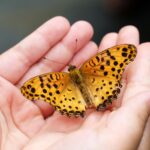 Nie każda osoba, która nas przemienia... cytat na dziś - "Nie każda osoba, która nas przemienia, musi pozostać w naszym życiu na zawsze. Wiele z nich pojawia się tylko na chwilę". Kuang Feng "Cukiernia w płatkach wiśni"